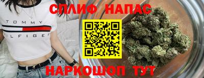 Альфа ПВП Ставрополь