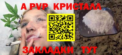 Альфа ПВП Ставрополь