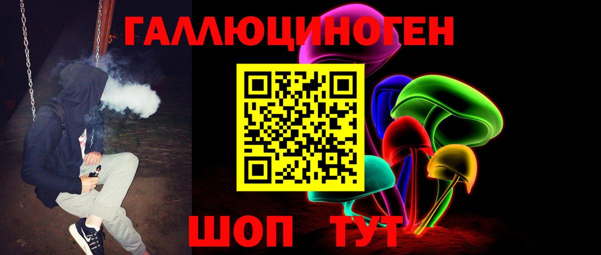 Псилоцибиновые грибы мицелий Махачкала